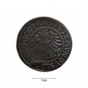 0047 zbiory numizmatyczne st. kadyiego; zygmunt i stary (1506); grosz głogowski- awers