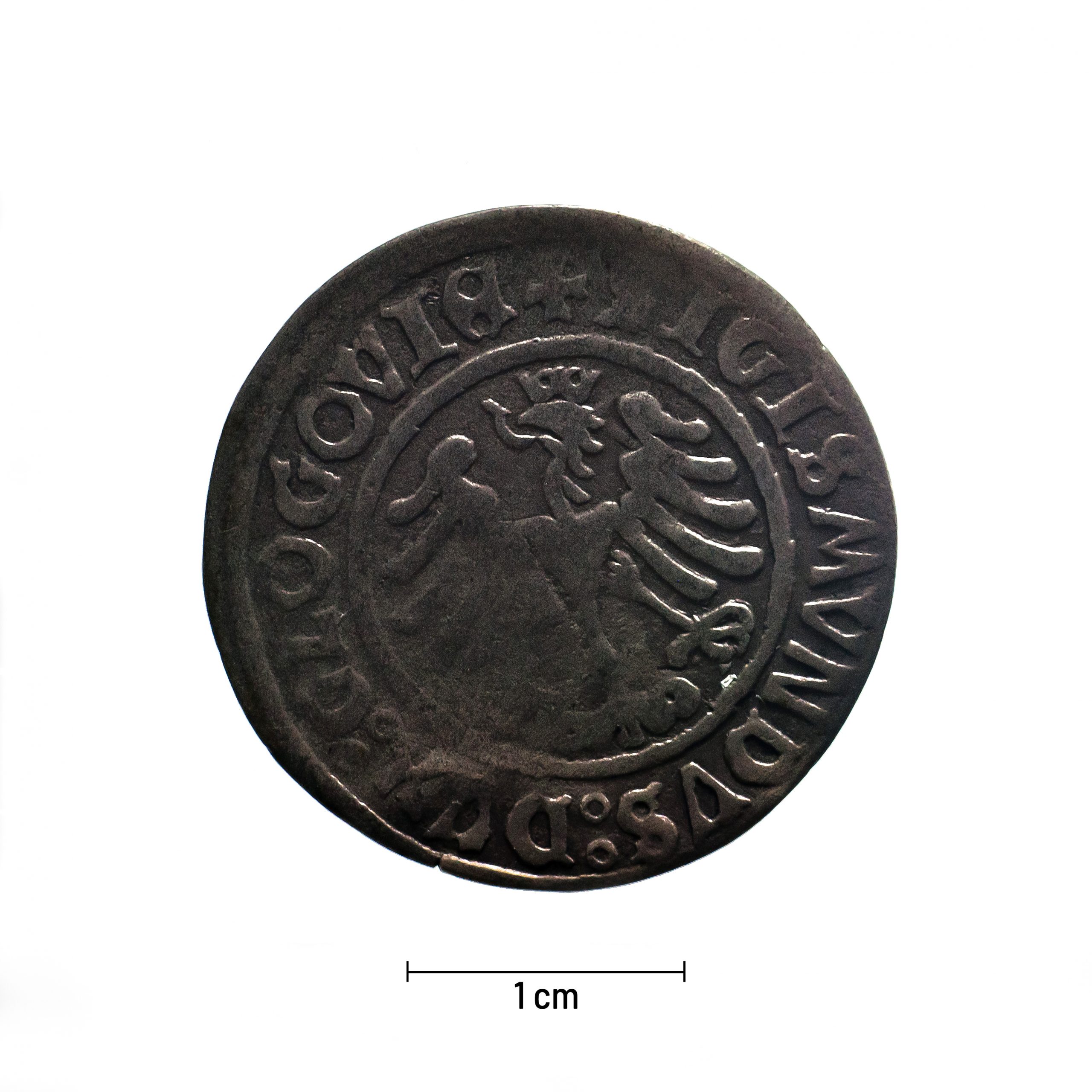 0047 zbiory numizmatyczne st. kadyiego; zygmunt i stary (1506); grosz głogowski- awers