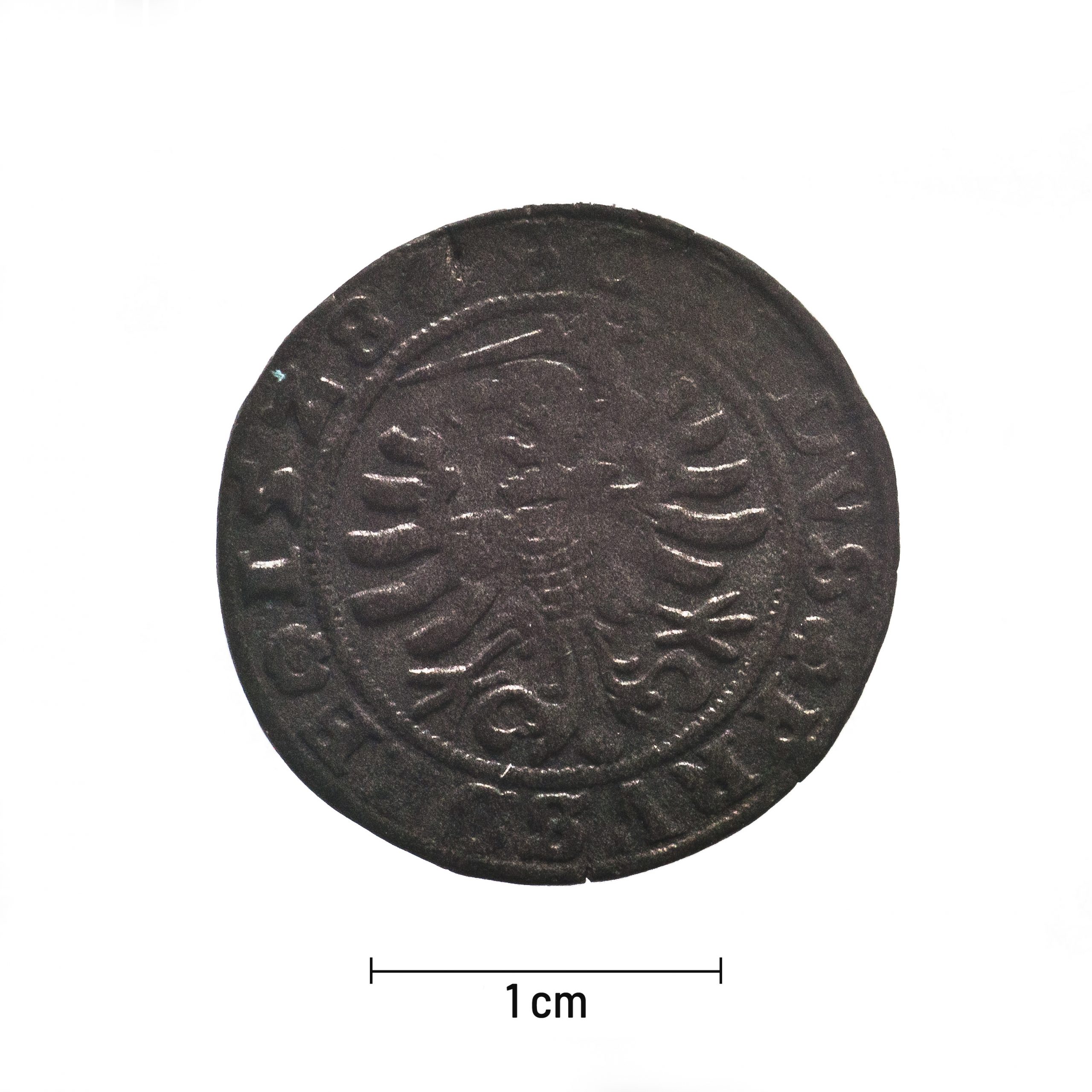 0070 zbiory numizmatyczne st. kadyiego; zygmunt i stary (1528); szeląg pruski- rewers