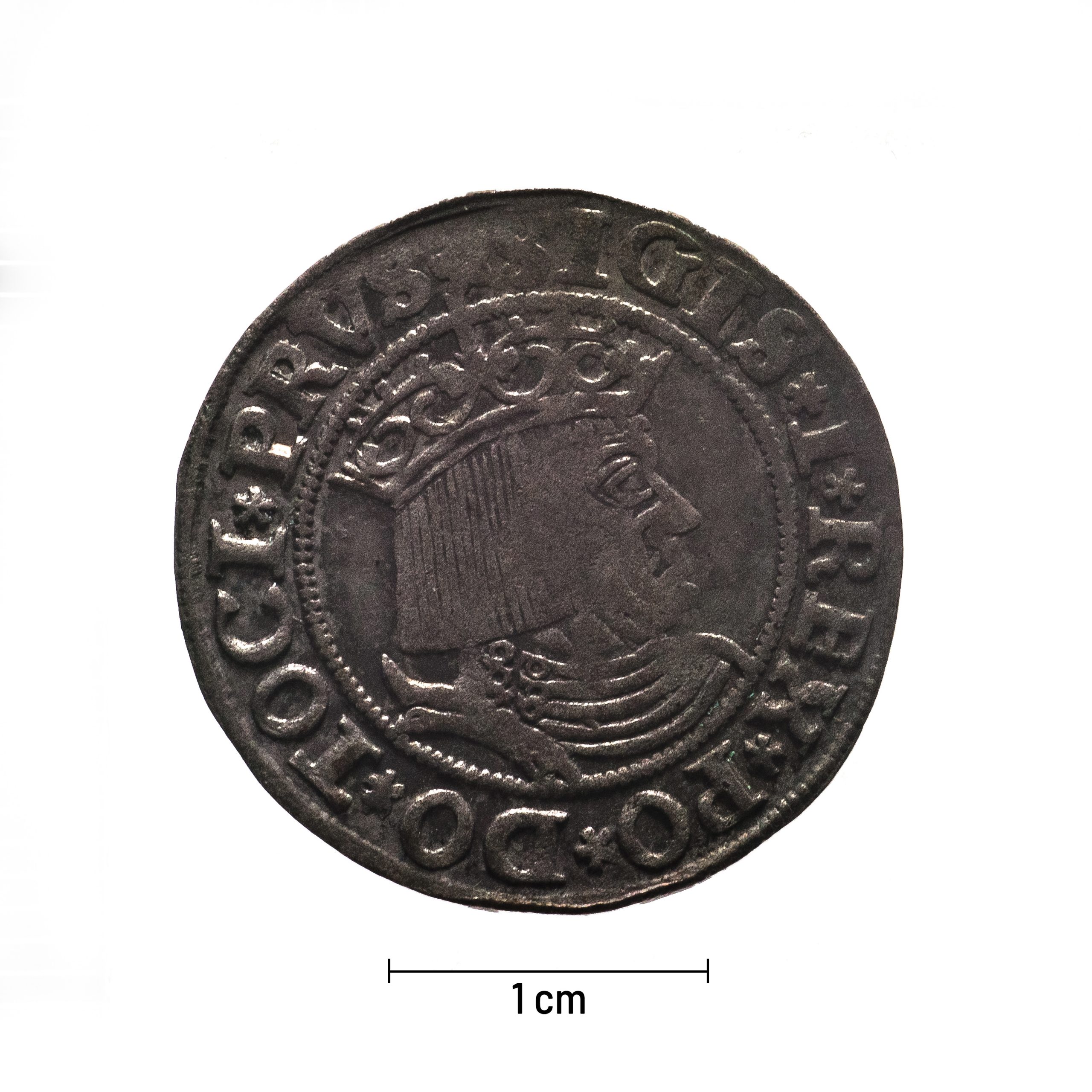 0077 zbiory numizmatyczne st. kadyiego; zygmunt i stary (1531); grosz pruski- awers