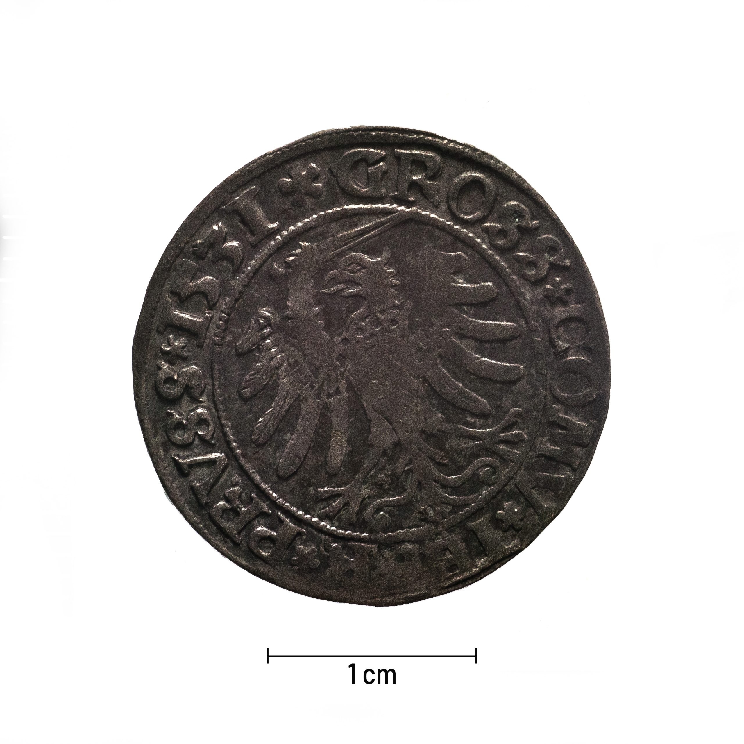 0077 zbiory numizmatyczne st. kadyiego; zygmunt i stary (1531); grosz pruski- rewers