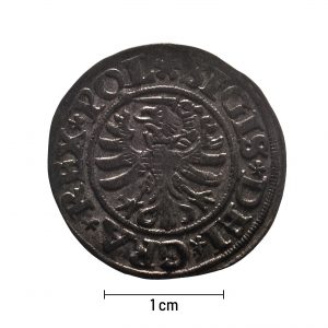 0084 zbiory numizmatyczne st. kadyiego; zygmunt i stary (1531); szeląg gdański- awers