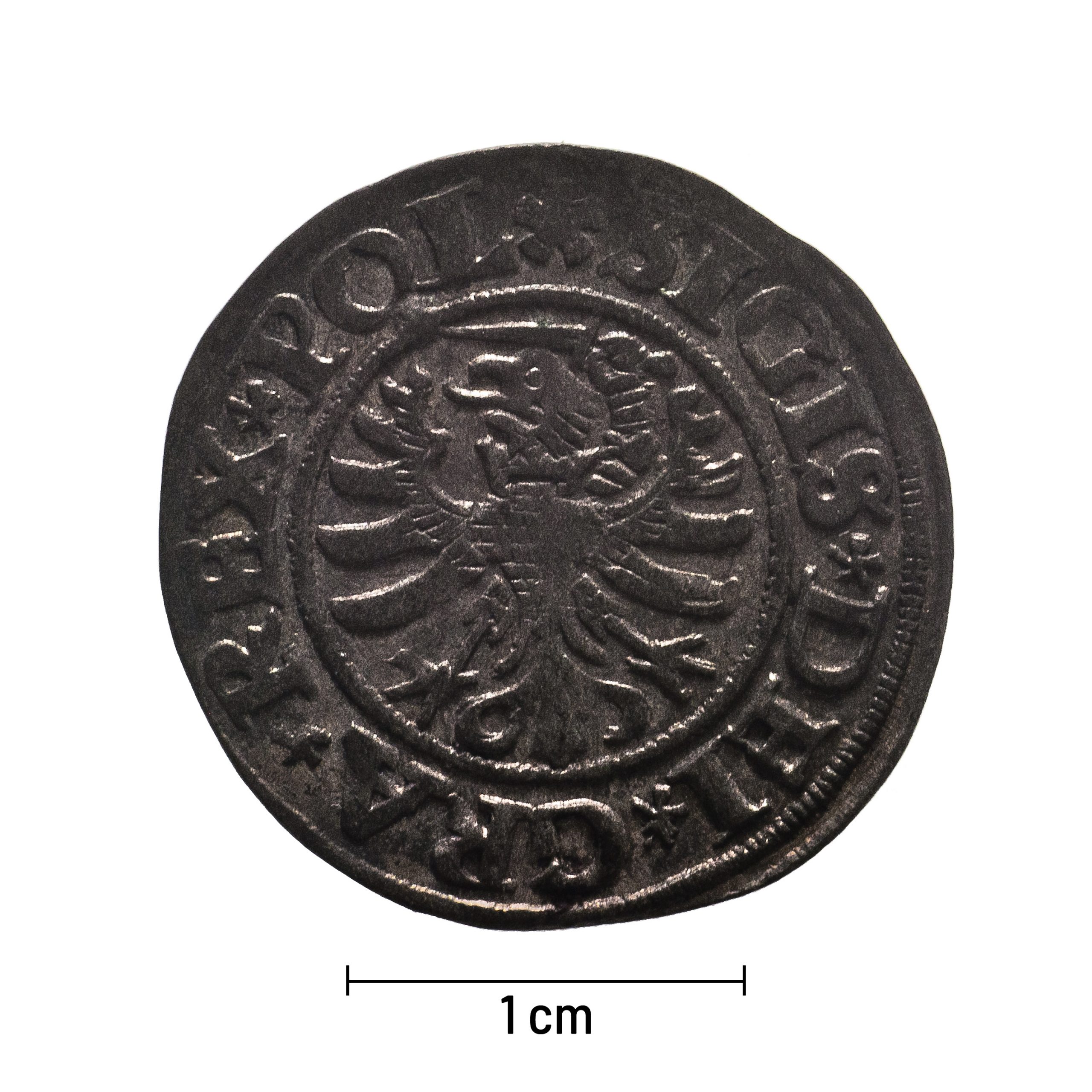 0084 zbiory numizmatyczne st. kadyiego; zygmunt i stary (1531); szeląg gdański- awers