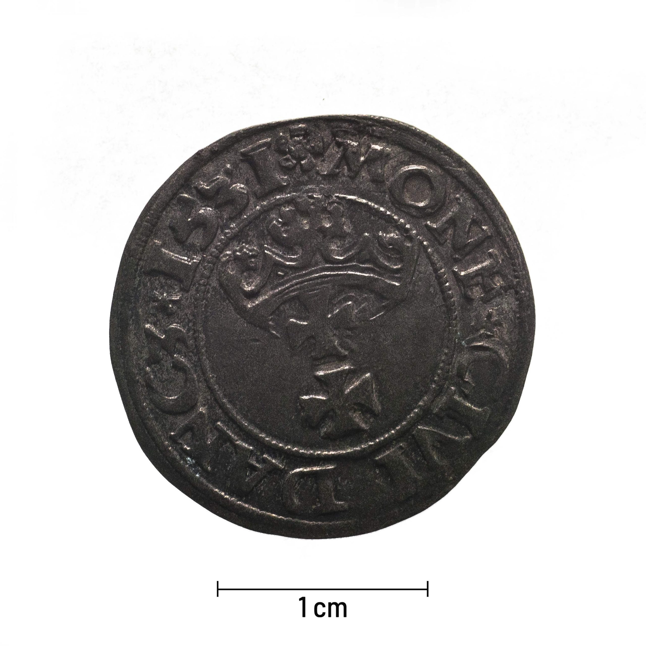 0084 zbiory numizmatyczne st. kadyiego; zygmunt i stary (1531); szeląg gdański- rewers