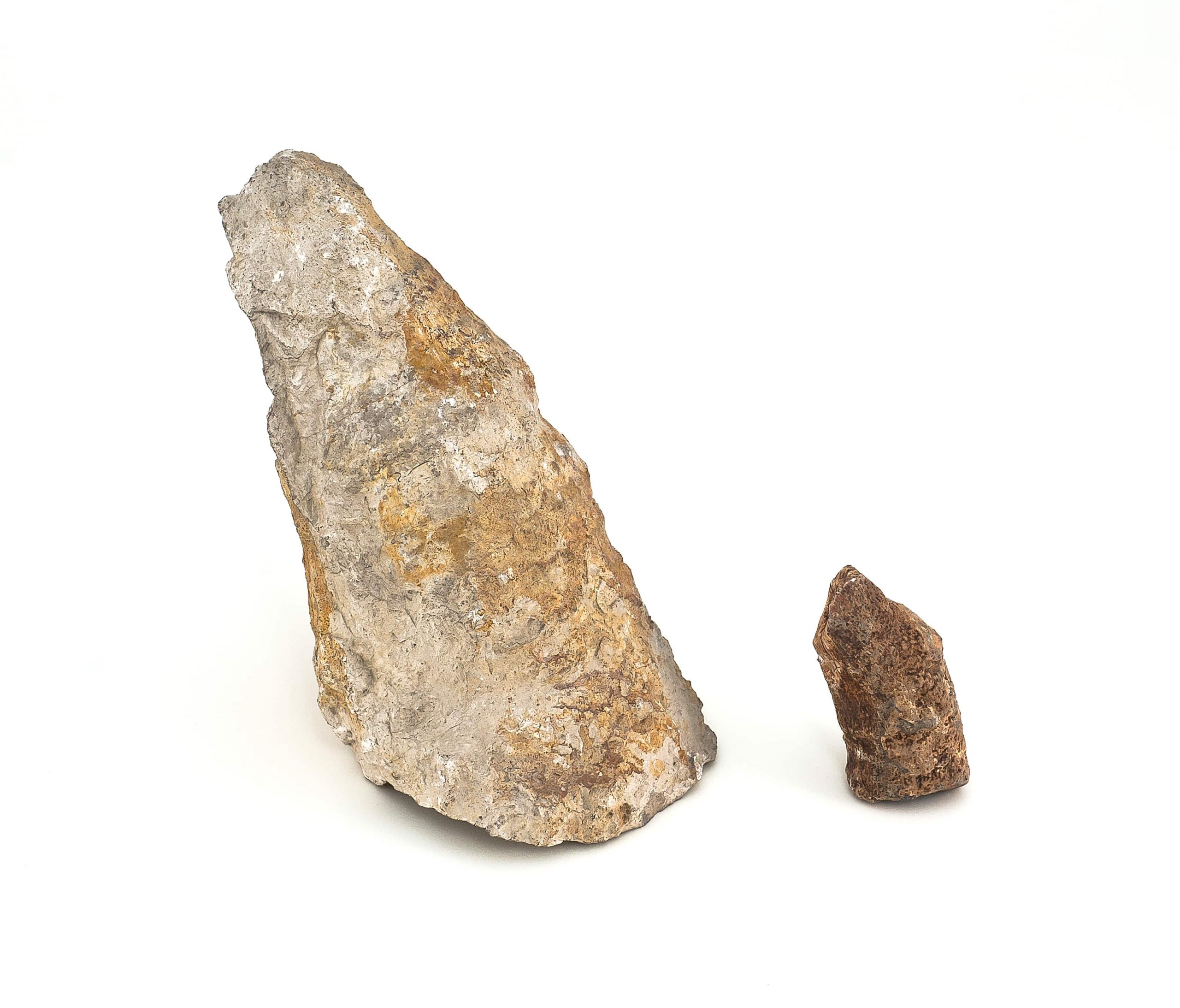 0357 P.P. Koralowiec AULOPHYLLUM FUNGITES, era paleozoiczna – Karbon - 358 – 329 milionów lat temu