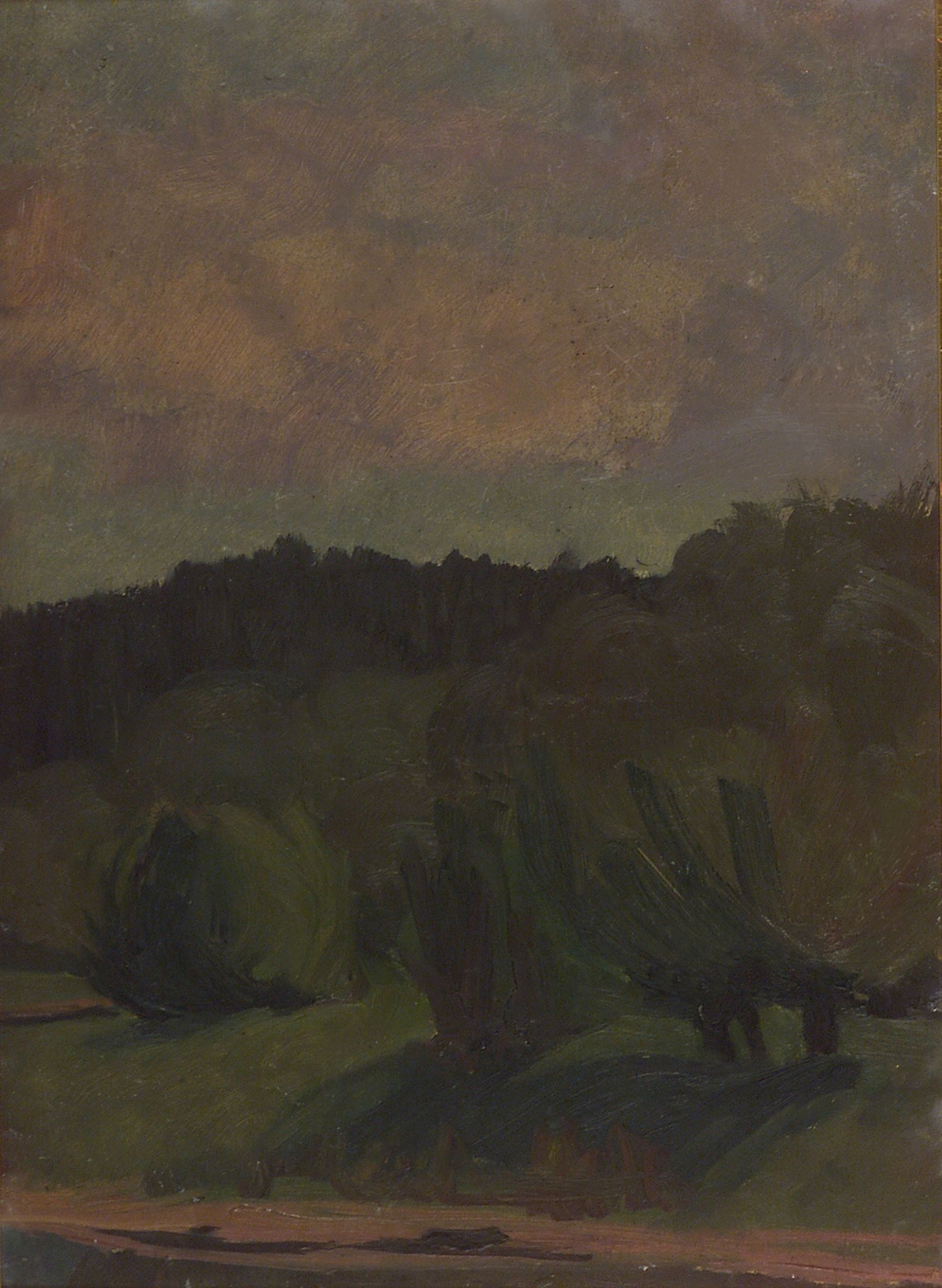2412 AH autor Ignacy Pinkas, Pejzaż, 1915-18, olej dykta, 44x32, fot