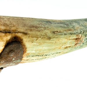 2696 etnografia - pochewka na osełkę, wykonana z rogu bydlęcego, okolice dukli sprzed 1939 r., dł. 21,5cm