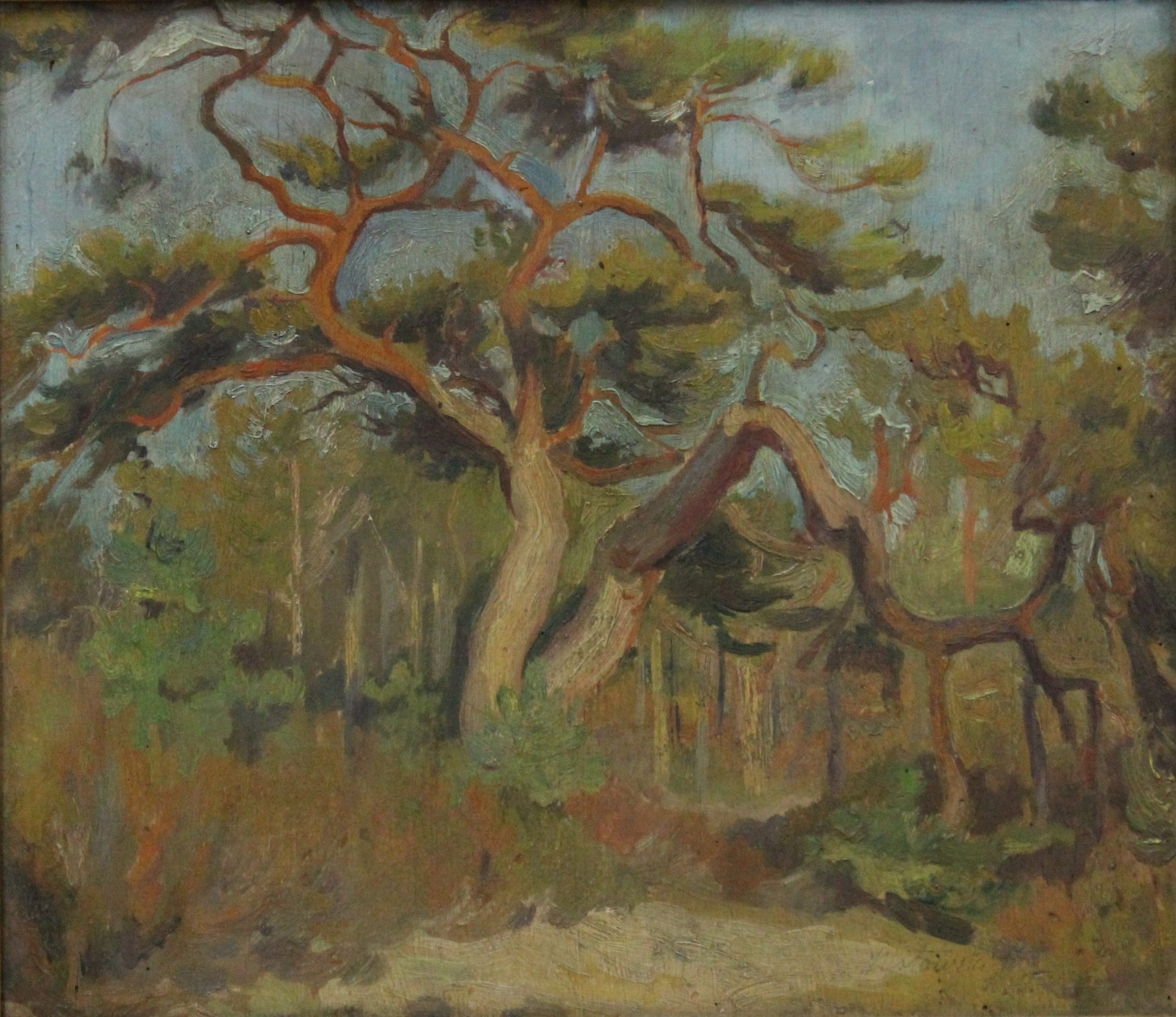 3904 ah, autor st. witowski-iskzyniak, pejzaż z sosną, 1935, olej na sklejce, 34,5x39 cm.