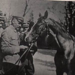 4909 ah pocztówka historyczna józef piłsudski z kasztanką, pocz xx w.