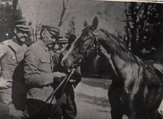 4909 ah pocztówka historyczna józef piłsudski z kasztanką, pocz xx w.