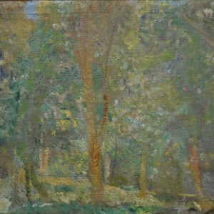 5398 ah, autor st. szczepański, drzewa w słońcu, olej na płótnie, 54x73 cm