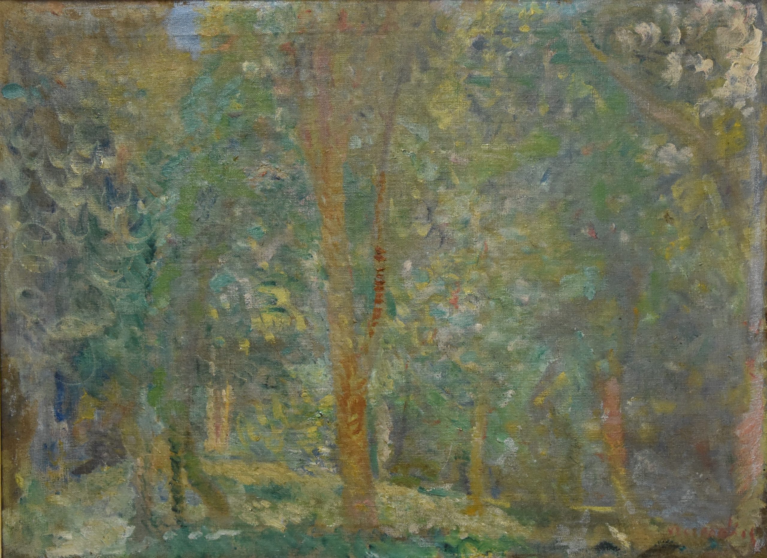 5398 ah, autor st. szczepański, drzewa w słońcu, olej na płótnie, 54x73 cm