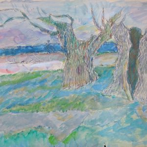 5675 ah jan wodyński, wierzby, 1970 r., akwarela, kredka, 75 x 100 cm