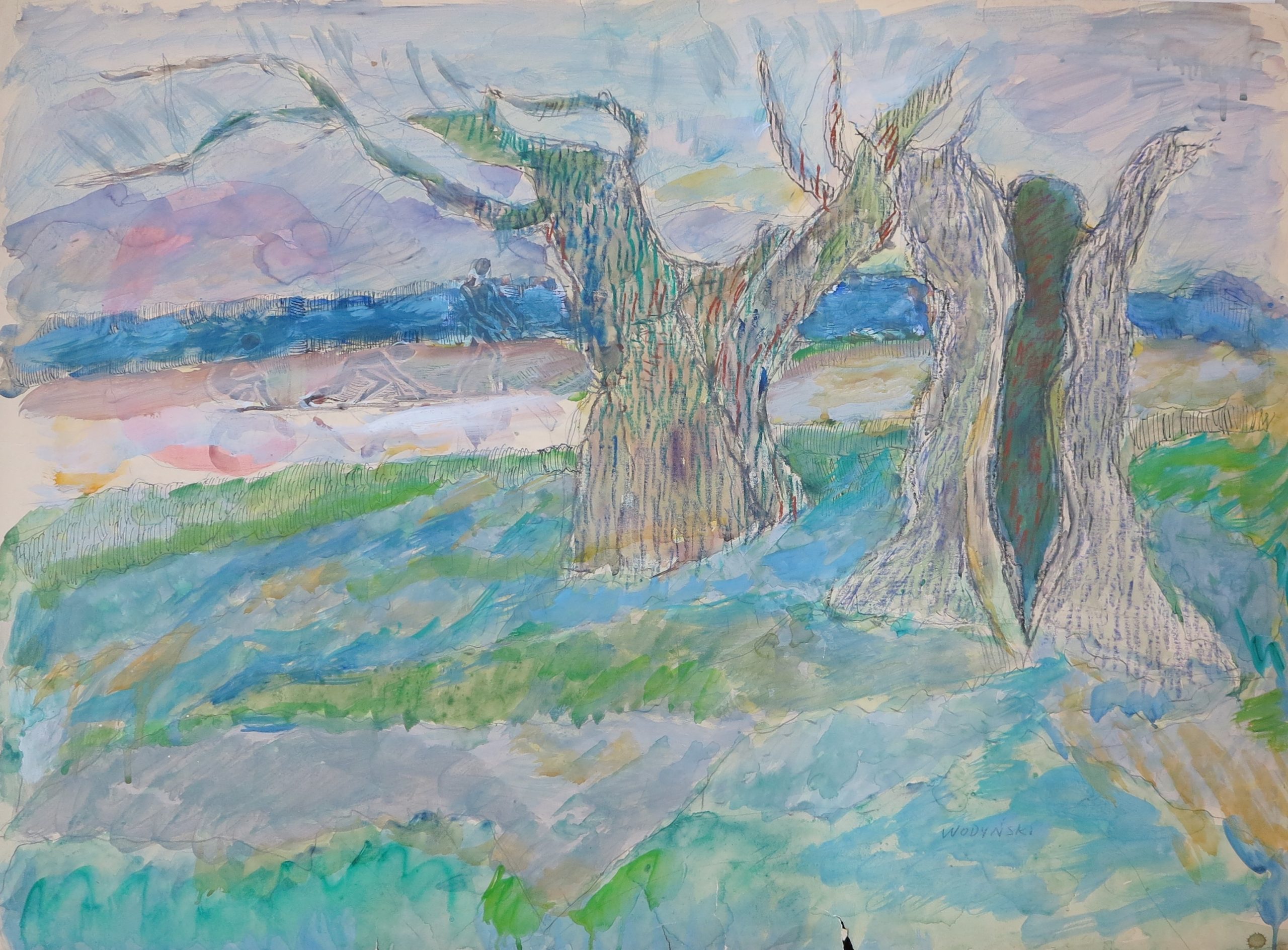 5675 ah jan wodyński, wierzby, 1970 r., akwarela, kredka, 75 x 100 cm