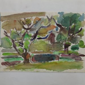 5976 ah jan wodyński, pejzaż, akwarele, 20,5 x 29,5 cm.