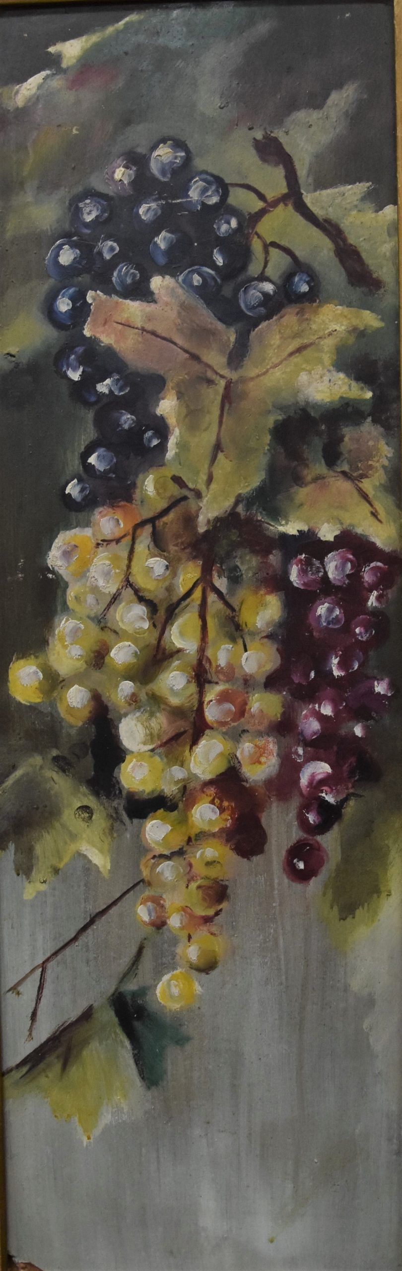 6360 ah, winogrona, olej na dykcie, 63 x 22 cm autor nn.