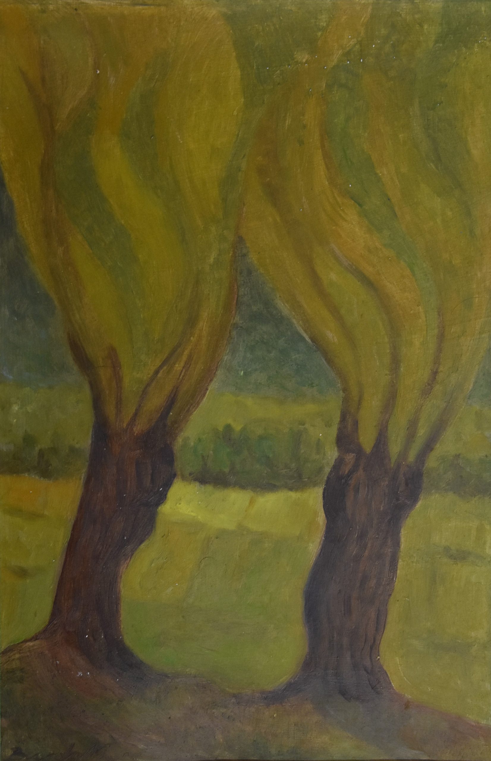 6423 ah, autor mieczysław burda, drzewa, 2009, farby na papierze