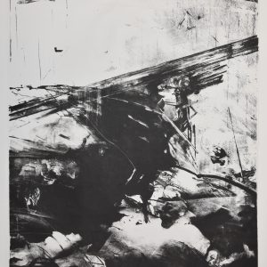 6437 ah, autor mirosław szudy, bez tytułu, 1982, litografia, 64 x 46 cm