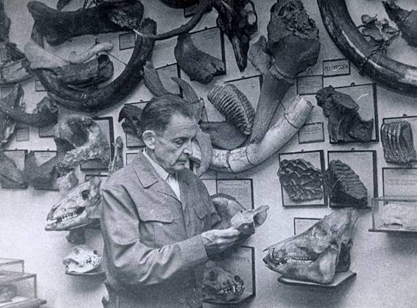 paleontologia - muzeum regionalne w jaśle Dr Stanisław Kadyi na tle swojej kolekcji paleontologicznej, Jasło, lata 60-te XX w