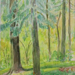 4512 a-h, stanisław witowski z jasła, bieszczady, rajskie, 1985, akwarele, 35,5 x 25,5 cm