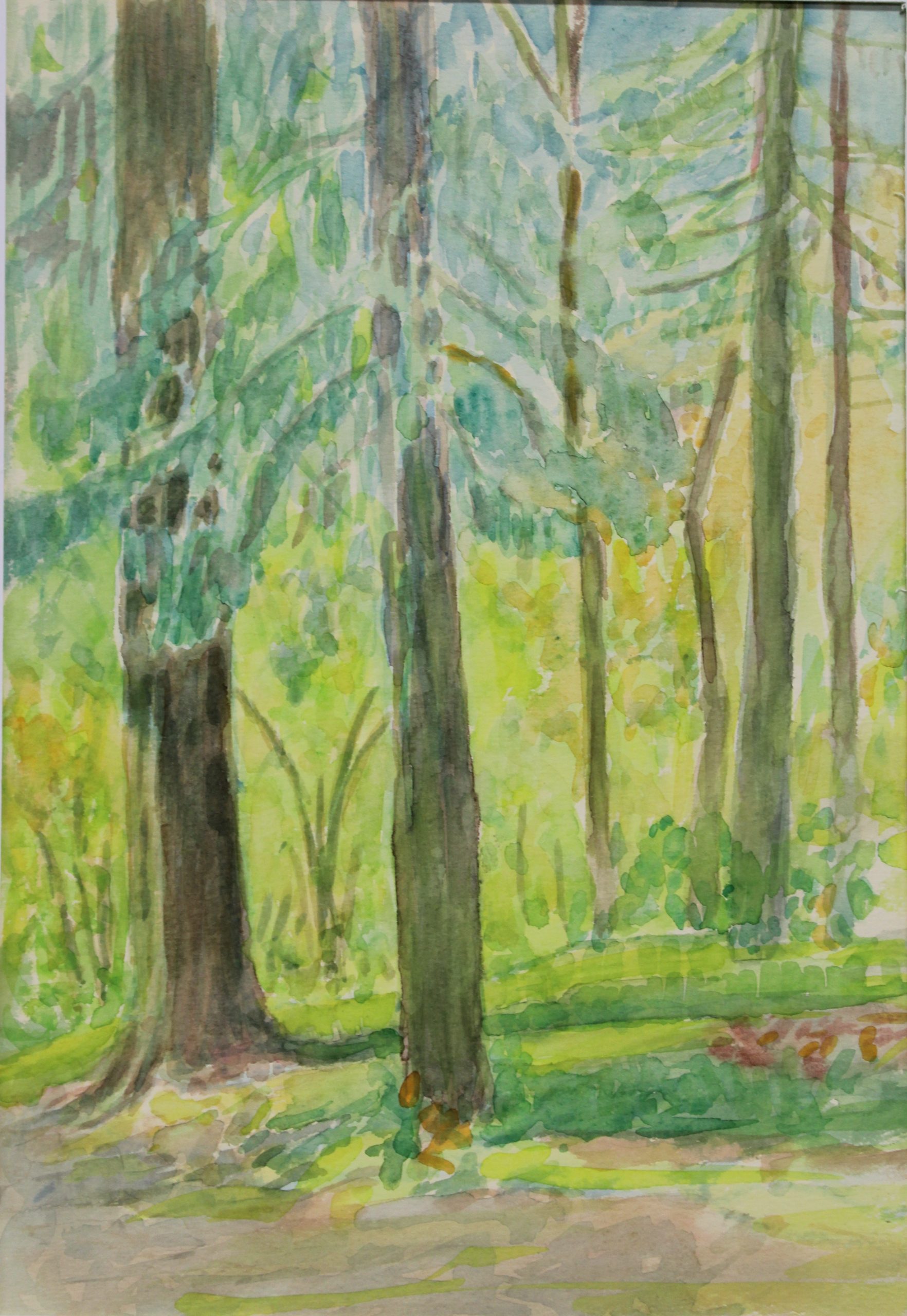4512 a-h, stanisław witowski z jasła, bieszczady, rajskie, 1985, akwarele, 35,5 x 25,5 cm