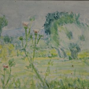 4516 a-h, stanisław witowski z jasła, osty, 1952, akwarele, 27,5 x 37 cm