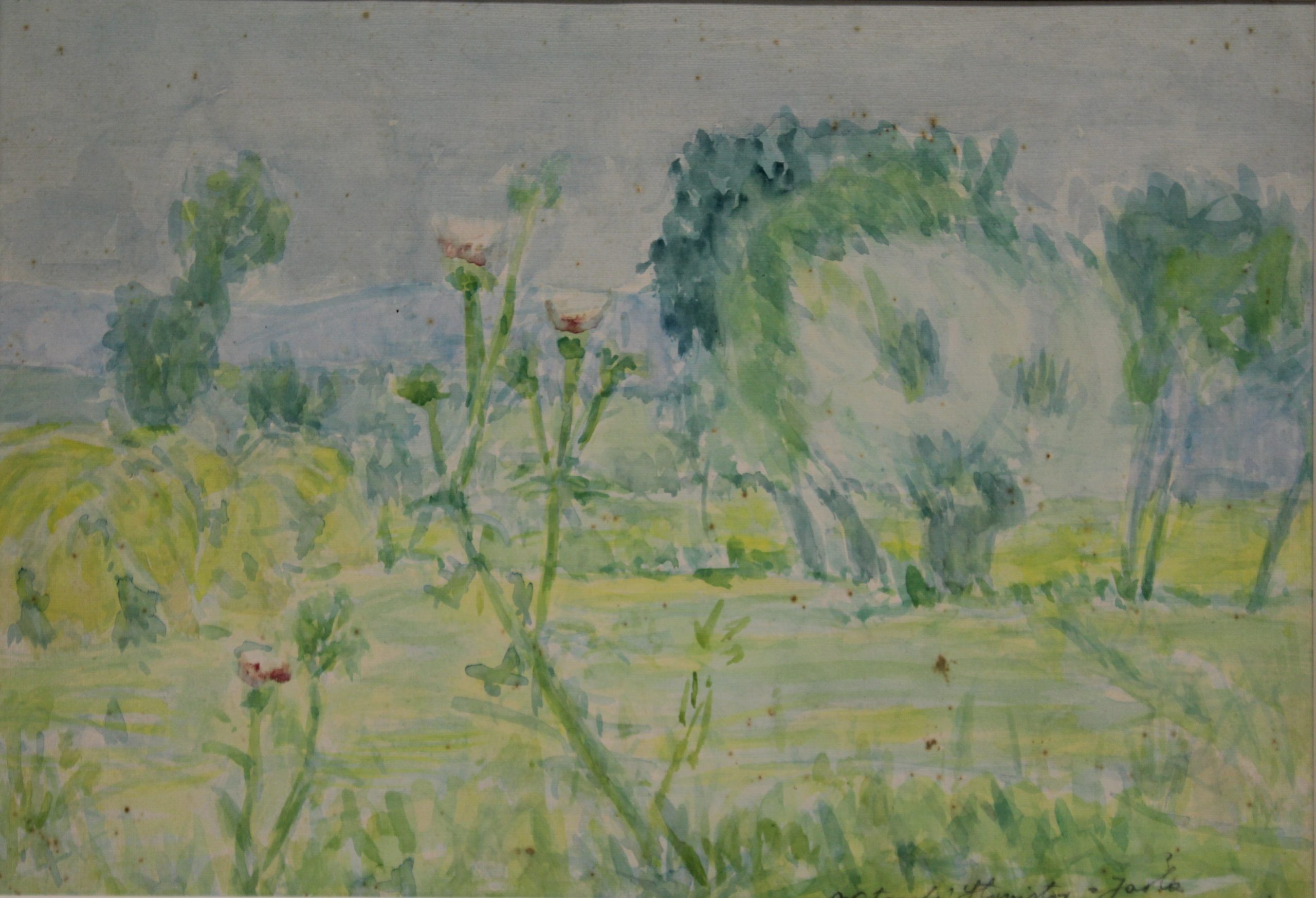 4516 a-h, stanisław witowski z jasła, osty, 1952, akwarele, 27,5 x 37 cm