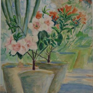 4526 a-h, stanisław witowski z jasła, kwiat azalii, 1944, akwarele, 31 x 26 cm