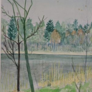 4541 a-h, stanisław witowski z jasła, nad jeziorem głębokim w szczecinie, 1956, akwarele, 35 x 24,5 cm