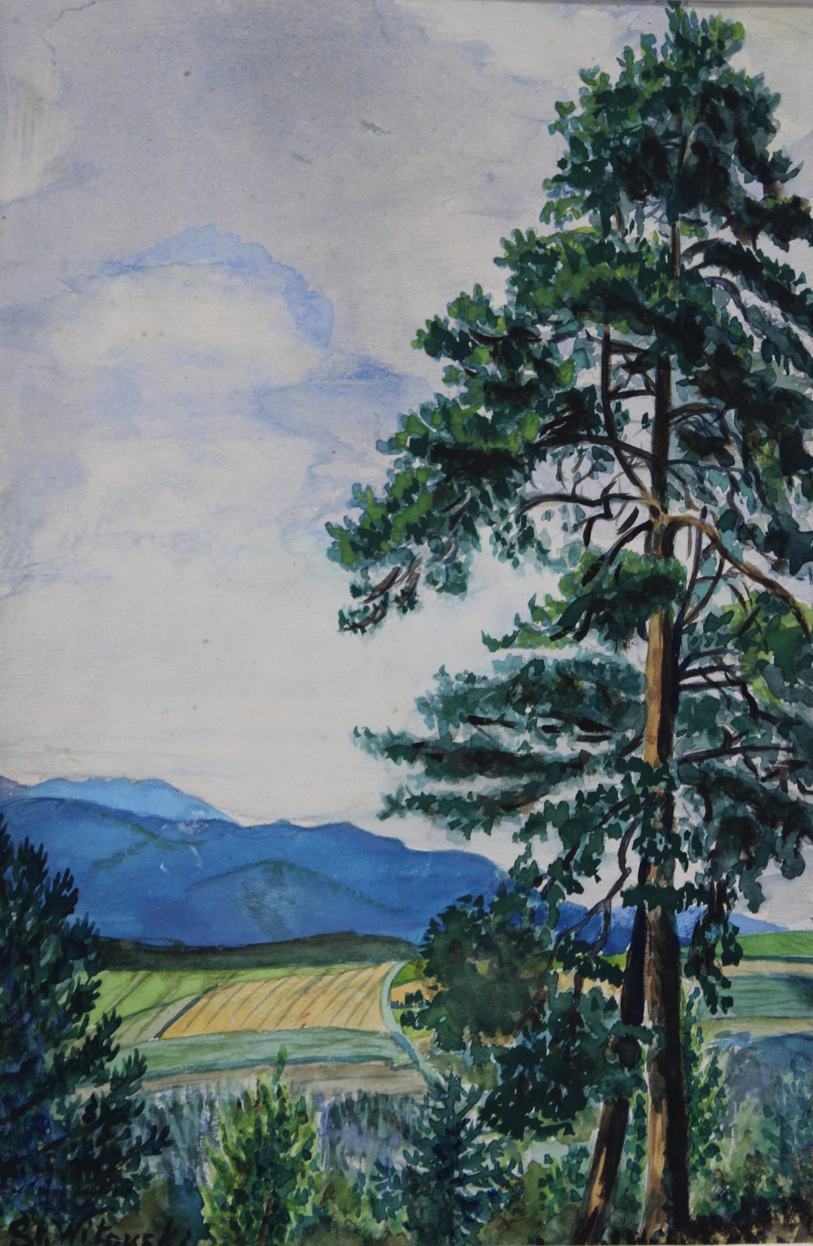 4544 a-h, stanisław witowski z jasła, samotna sosna, 1933, akwarele, 29,5 x 19 cm