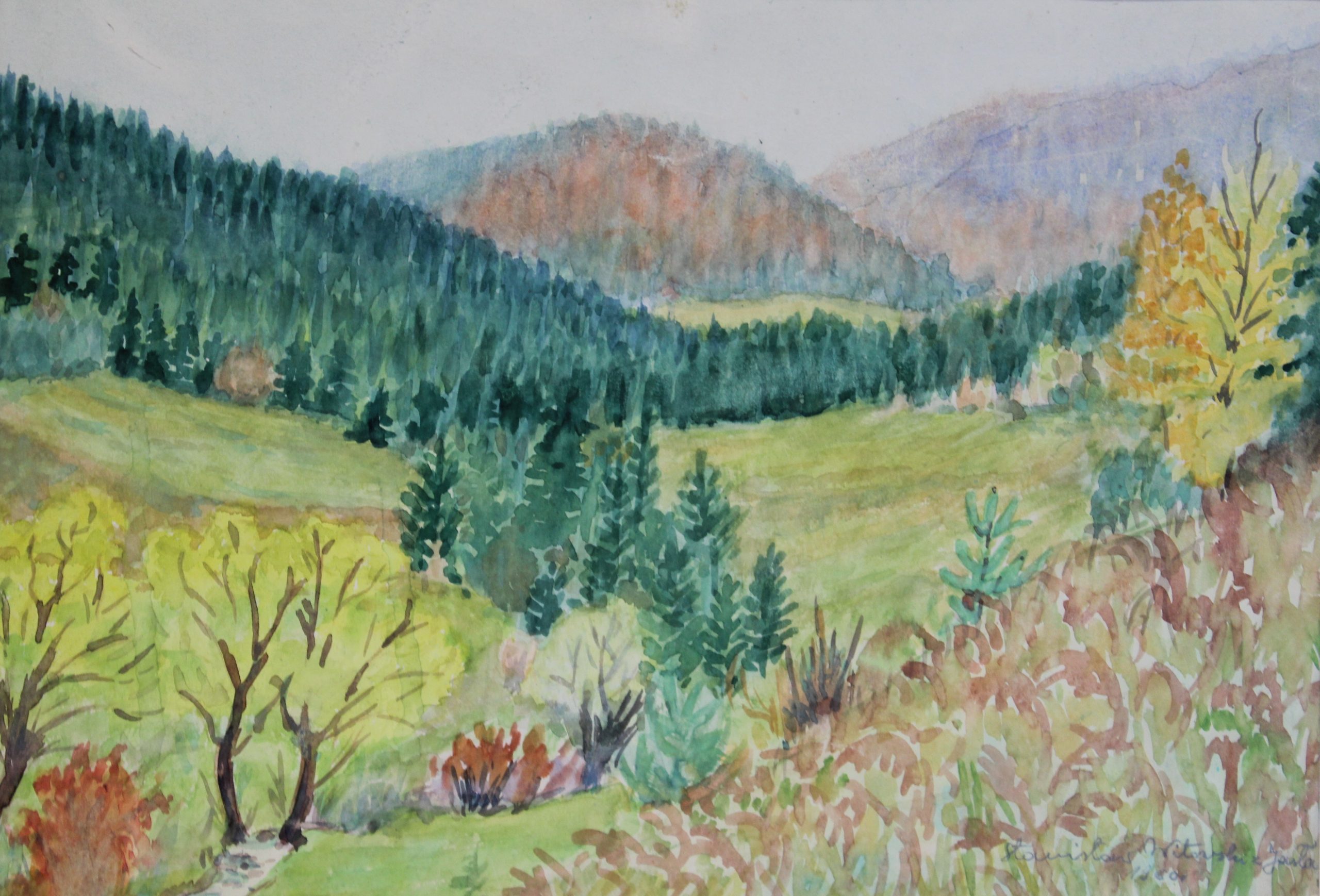 4546 a-h, stanisław witowski z jasła, jaworzyna krynicka, 1960, 29,5 x 42 cm
