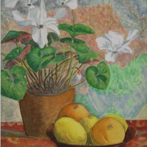 4552 a-h, stanisław witowski z jasła, biały cyklamen, 1974, akwarele, 46 x 35 cm