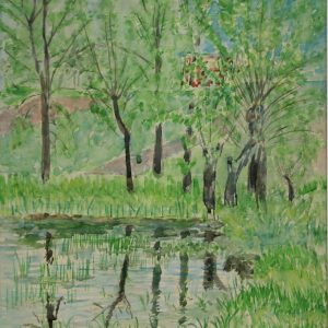 4556 a-h, stanisław witowski z jasła, jezioro szmaragdowe w szczecinie, 1963, akwarele, 41 x 31 cm