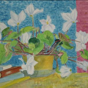 4563 a-h, fiołek alpejski, 1945, akwarele, 39 x 48 cm