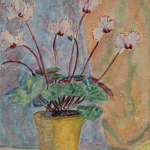 4564 a-h, stanisław witowski z jasła, cyklamen różowy, 1947, akwarele, 50 x 36 cm