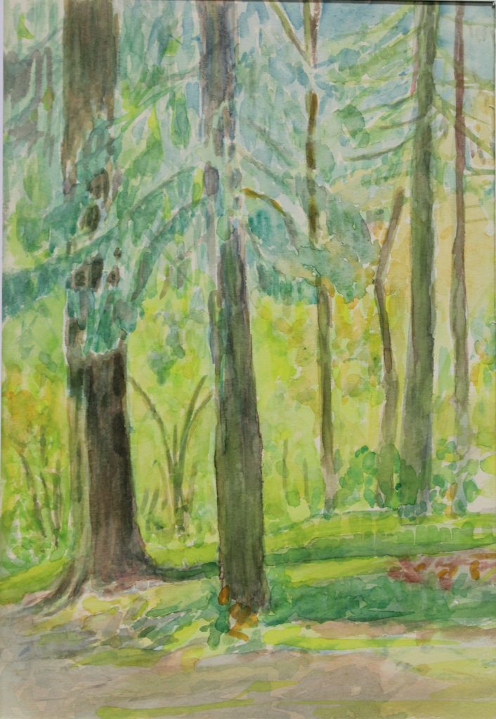 odeszła pani joanna dunin-witowska odeszła pani joanna dunin-witowska