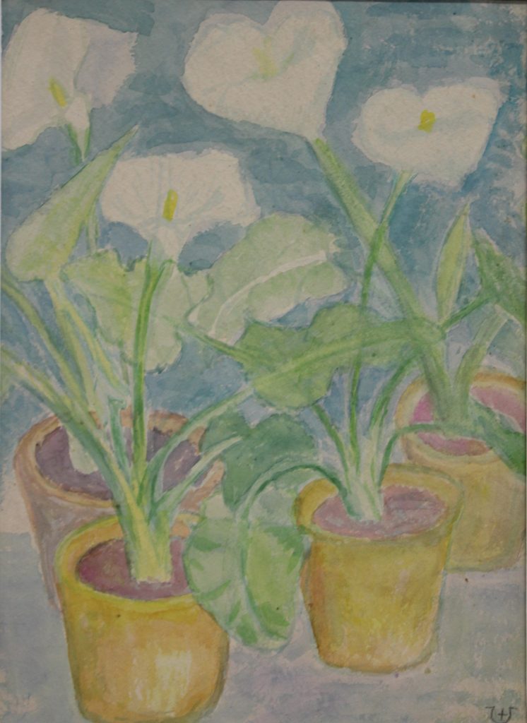 odeszła pani joanna dunin-witowska odeszła pani joanna dunin-witowska