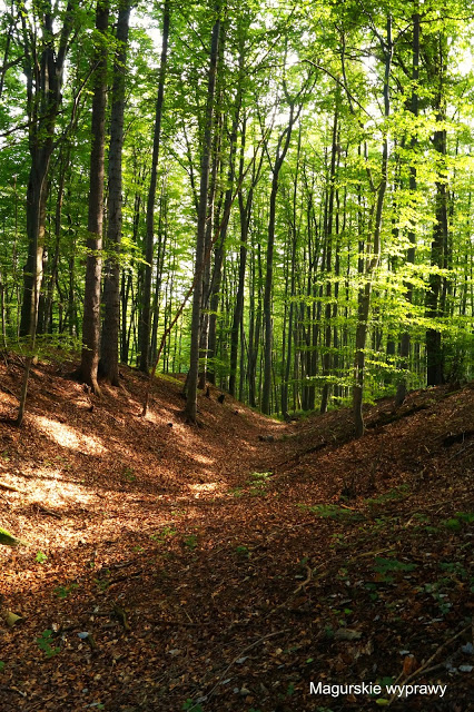 wietrzno-bóbrka – grodzisko wczesnośredniowieczne wietrzno-bóbrka – grodzisko wczesnośredniowieczne