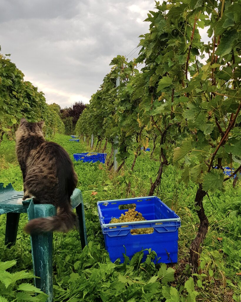 wyniki konkursu fotograficznego