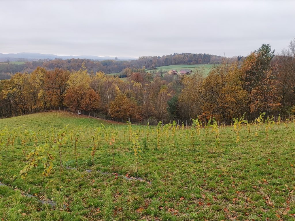 nagroda publiczności w konkursie fotograficznym nagroda publiczności w konkursie fotograficznym