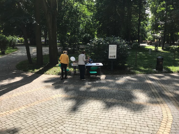 zabawy w parku miejskim - 25.08.2021