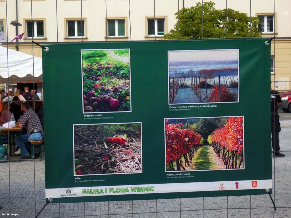 wyniki konkursu fotograficznego