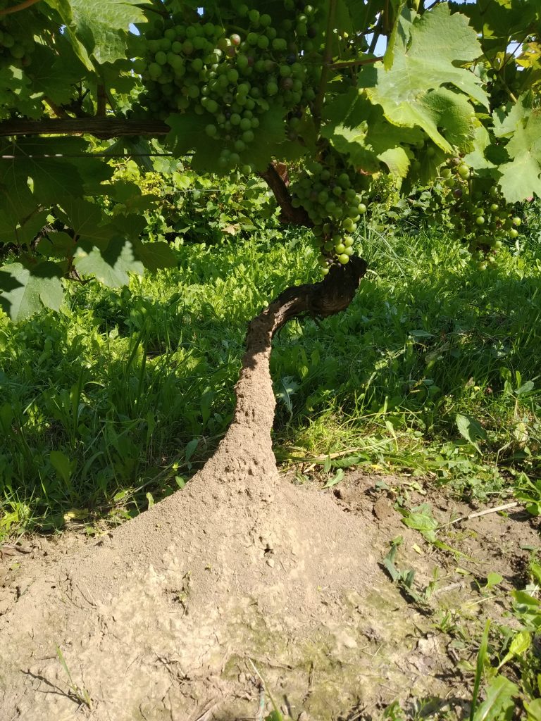 nagroda publiczności w konkursie fotograficznym nagroda publiczności w konkursie fotograficznym