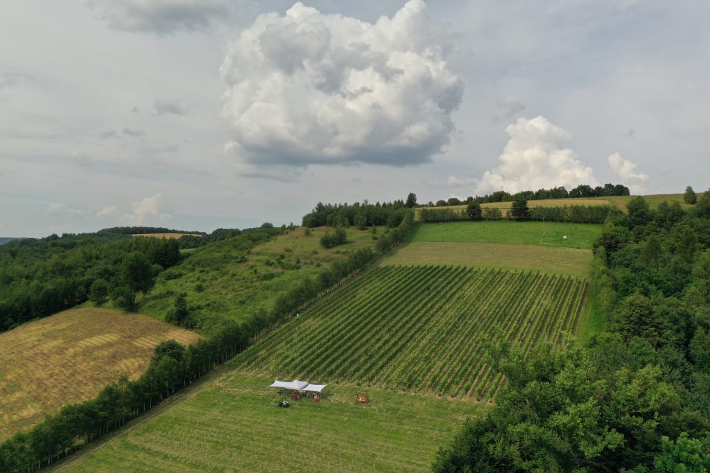 nagroda publiczności w konkursie fotograficznym nagroda publiczności w konkursie fotograficznym
