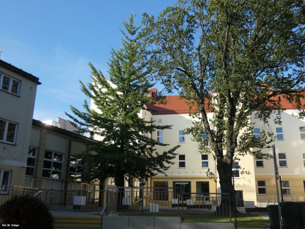 zakończenie spacerów po mieście z przewodnikiem