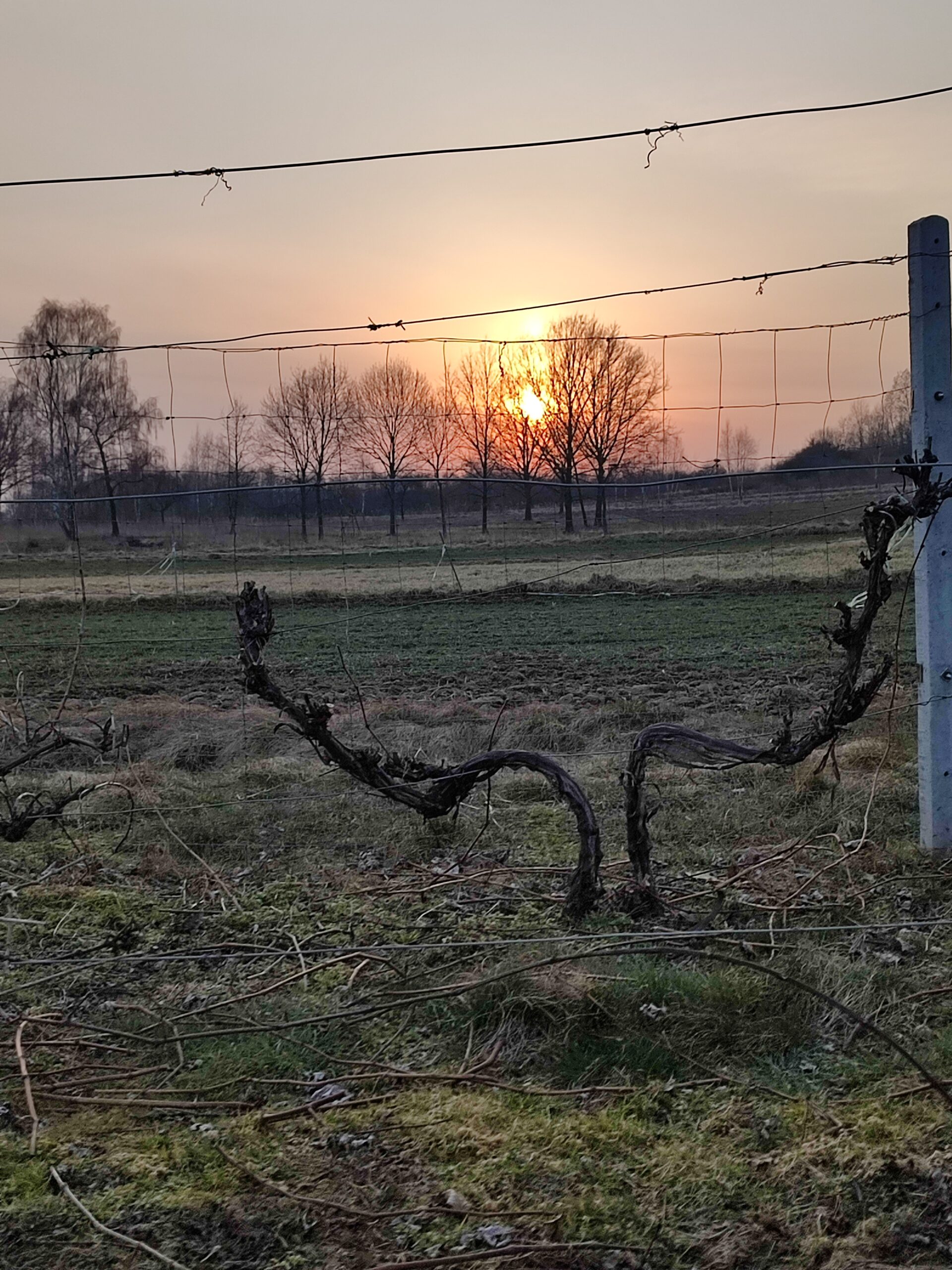 wyniki konkursu fotograficznego wyniki konkursu fotograficznego
