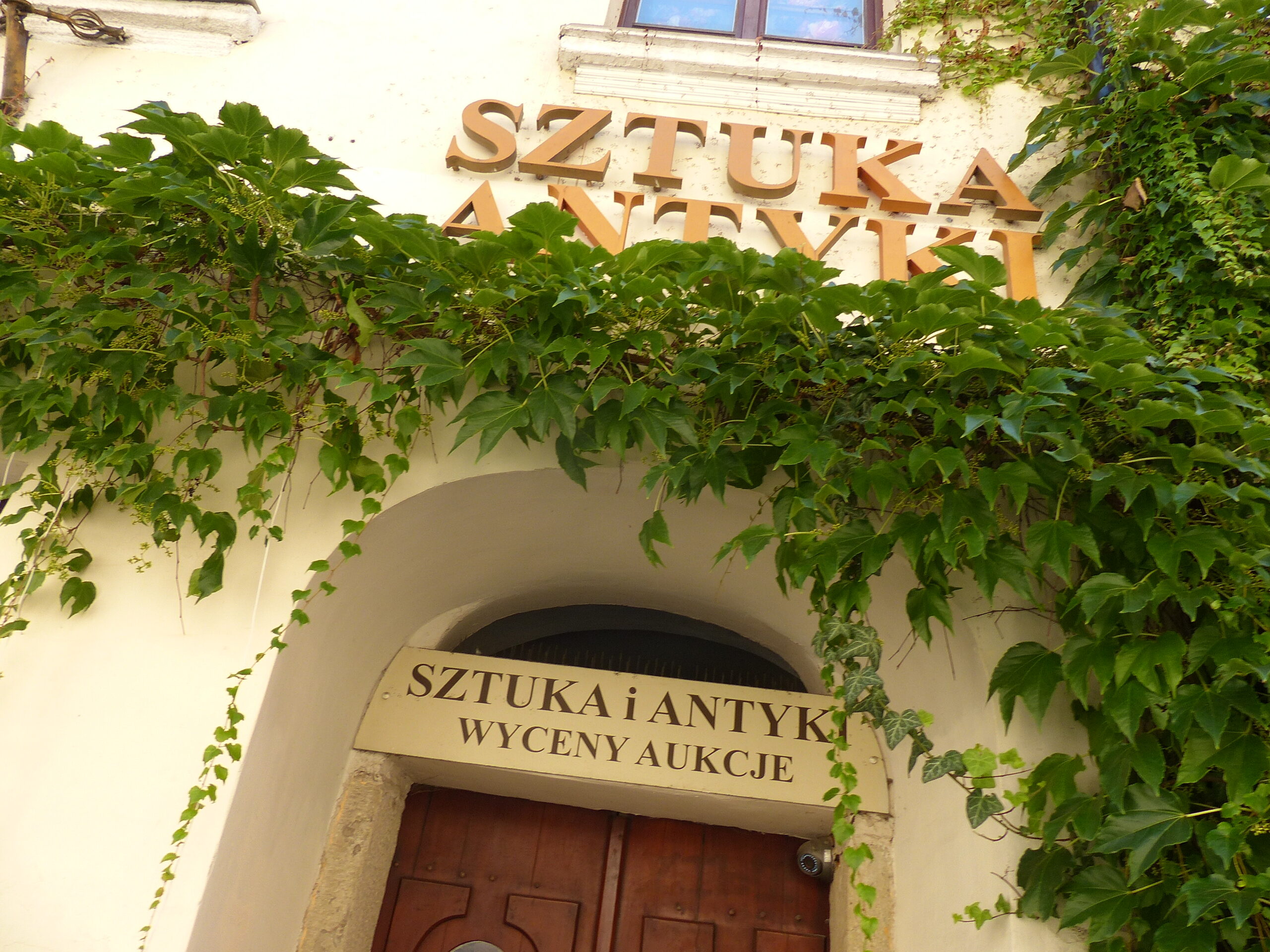 wyniki konkursu fotograficznego wyniki konkursu fotograficznego