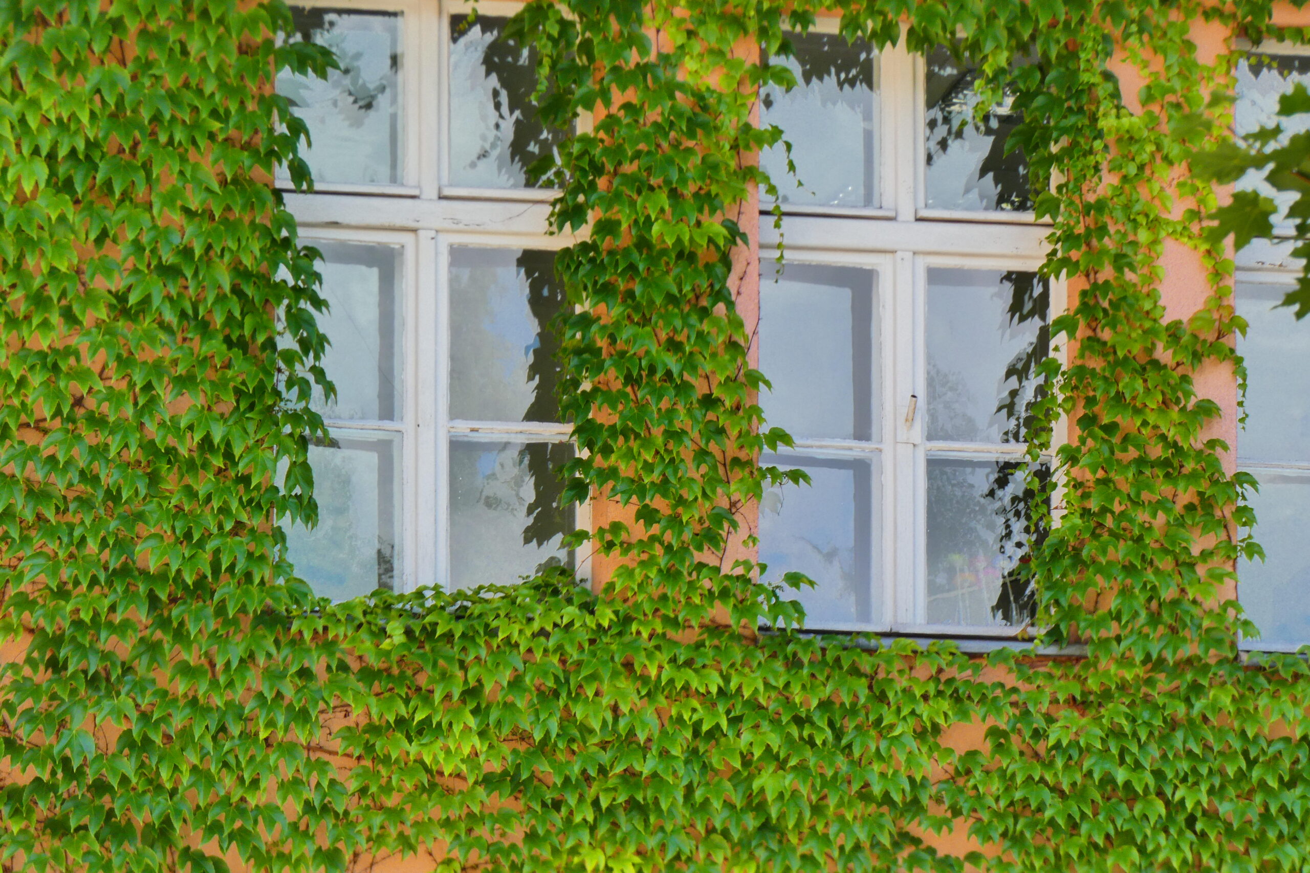 wyniki konkursu fotograficznego wyniki konkursu fotograficznego