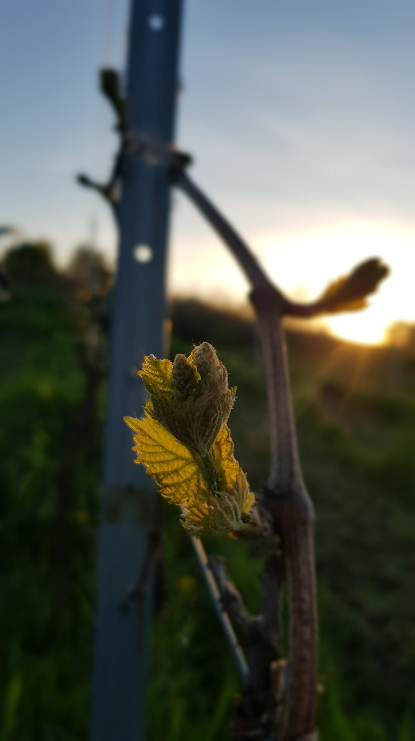 wyniki konkursu fotograficznego wyniki konkursu fotograficznego