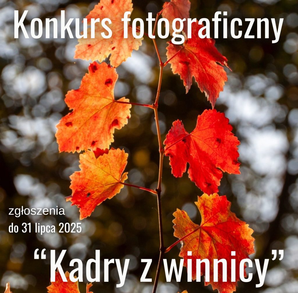 konkurs fotograficzny "kadry z winnicy" - wyniki